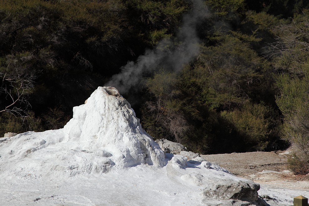 Lady Knox Geysir